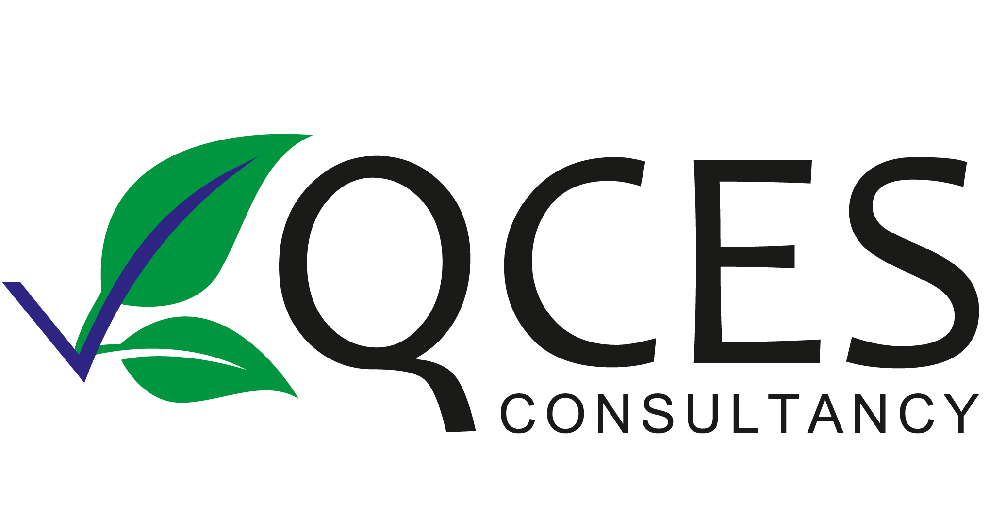 QCES Consultancy